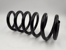 2 Muelles de suspensión delanteros originales para Renault Clio IV (2012-2019) 550201647R